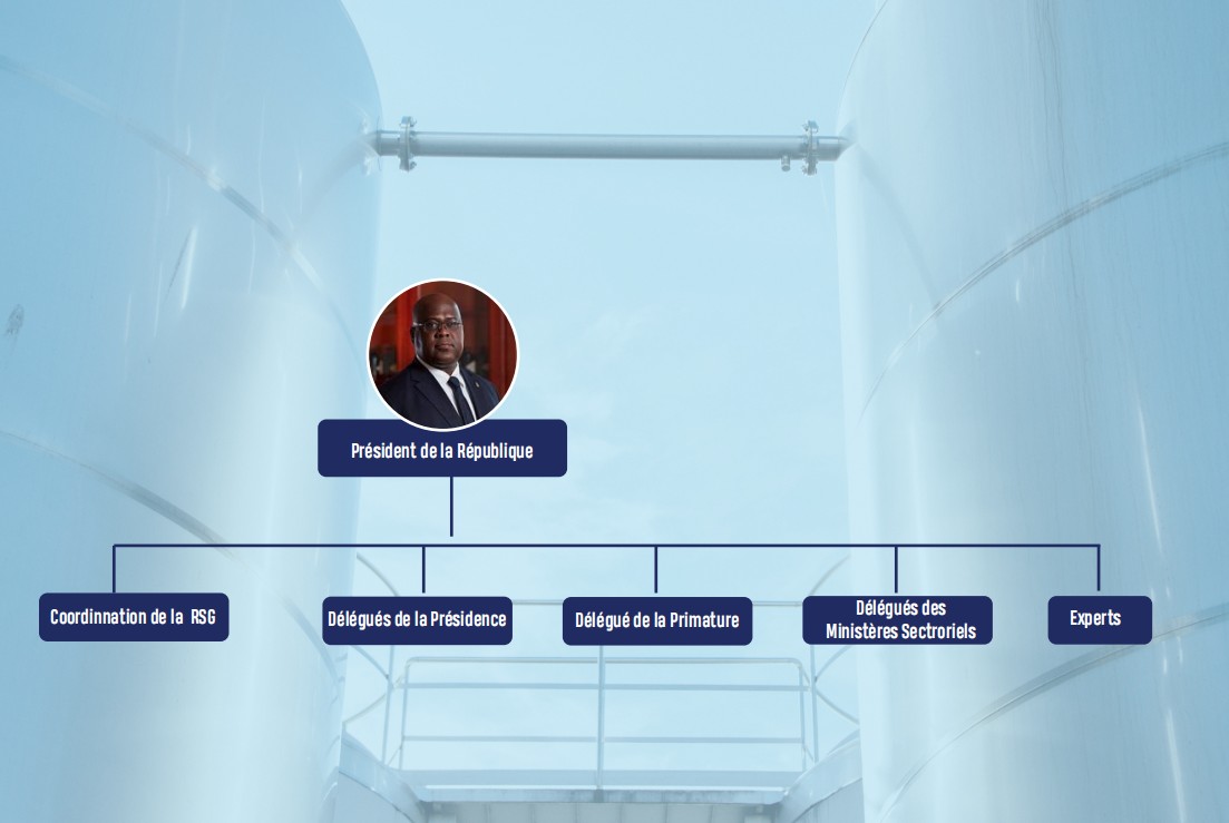 Organisation et Gouvernance